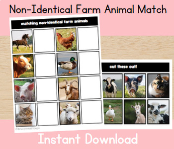 Preview of Non-Identical Farm Animal Match- Real images