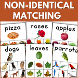 Non-Identical Matching Activity for Non-Verbal Students