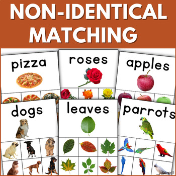 Preview of Non-Identical Matching Picture Cards Activity Nonverbal Students with Autism