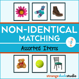 Non-Identical Matching Cards - Assorted Items - Speech The