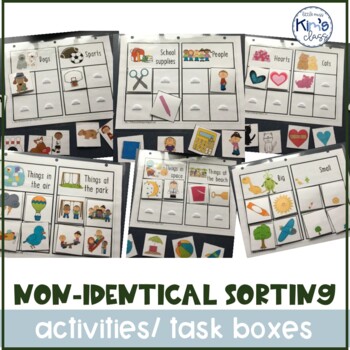 Preview of Non-Identical Sorting Activities- Independent Work/File Folder