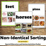 Non Identical Matching Activities Special Education Autism