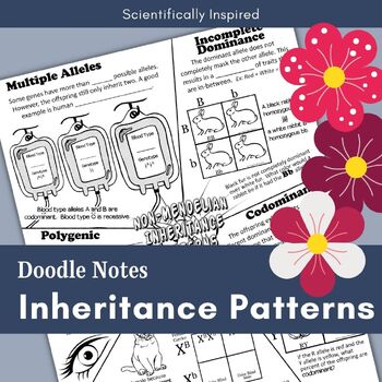 Preview of Non-Mendelian Inheritance | Genetics and Heredity | Doodle Note Review