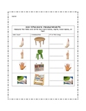 Non-Standard Measurement Worksheet/Record Sheet