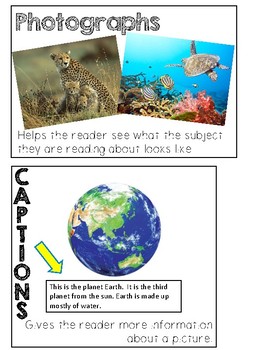 Preview of Non-fiction Text Features Anchor Chart
