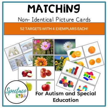 Preview of Non identical matching picture cards for autism and special education
