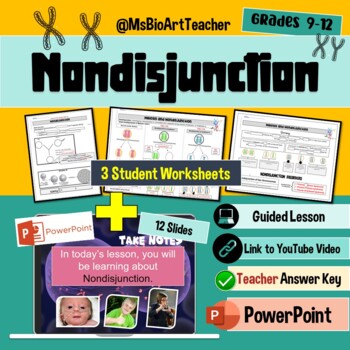Preview of Nondisjunction-Student Worksheets-Power Point Presentation