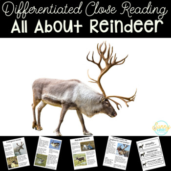 Preview of Reindeer | Differentiated Texts | Nonfiction Close Reading