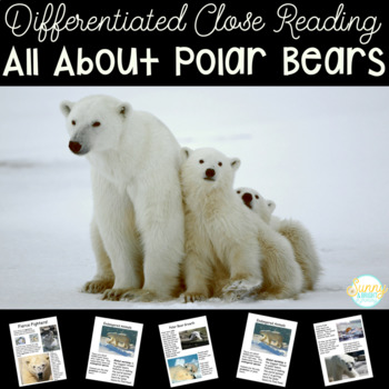 Preview of Polar Bears Differentiated Texts Nonfiction Close Reading NO PREP