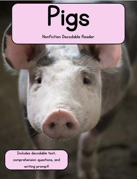 Preview of Nonfiction Decodable k-2 Reader Pigs W/ comprehension questions+writing prompt