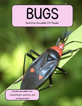 Preview of Nonfiction Decodable CVC Reader BUGS W/ comprehension questions+writing prompt