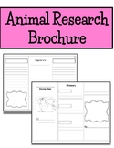 Nonfiction/Informational Animal Research Brochure Book Wri