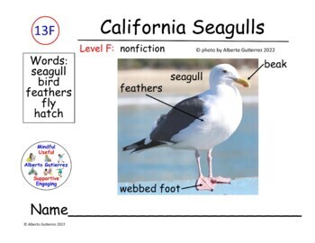 Preview of Nonfiction Long Distance Learning: California Seagulls #13F