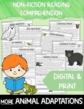 Preview of Nonfiction Reading Comprehension - Animal Adaptations (More!)