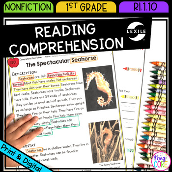 Preview of Nonfiction Reading Comprehension Reading Passages Questions 1st Grade Worksheets