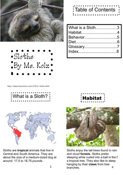 Nonfiction Sloth Book by Alexandra Hollowell | Teachers Pay Teachers