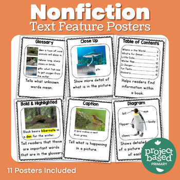 Preview of Nonfiction Text Feature Posters | Anchor Charts