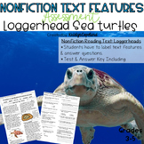 Nonfiction Text Features Assessment: Loggerhead Turtles
