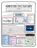 Nonfiction Text Features {with additional assessment}