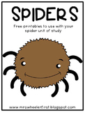 First Grade Non-Fiction: Spiders