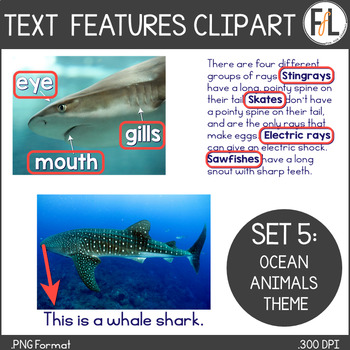 Preview of Nonfiction Text Features Clipart, Ocean Theme - Set 5