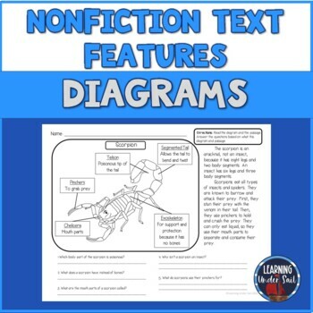 Preview of Nonfiction Text Features Diagram