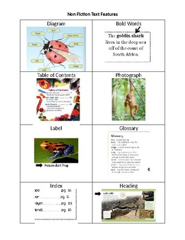 Preview of Nonfiction Text Features Individual Student Chart