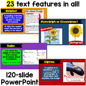 PPT - Nonfiction PowerPoint Presentation, free download - ID:2507645