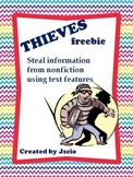 Nonfiction Text Features {THIEVES}