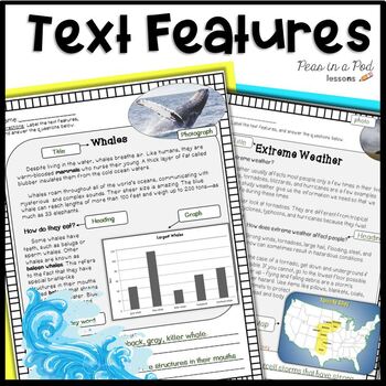 Preview of Text Features Worksheets Spring Cinco de Mayo Reading Comprehension Activities +