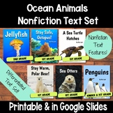 Under the Sea Nonfiction Text Set - Early Readers for Ocea
