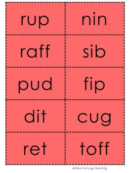 Nonsense Word Bingo CVC by Blue Cottage Reading | TPT