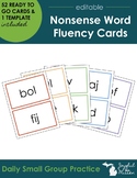 Nonsense Word Fluency - Daily Small Group Flashcards