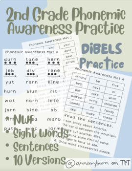 Preview of Nonsense Word Fluency mats, DIBELS practice, sight words 2nd grade