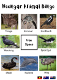 Noongar Animal Bingo