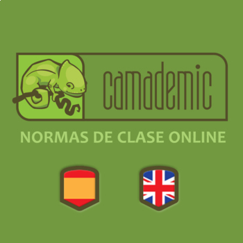 Preview of Normas para Clases Online / Rules for online classes