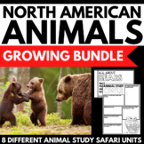 North America Animal Research Project Bundle | Continent R