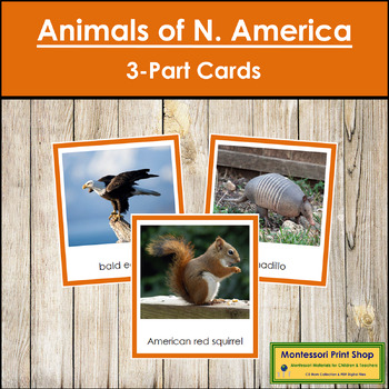 Animals of North America 3-Part Cards (color borders) by Montessori Print  Shop