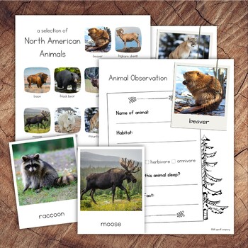 North American Animals Pack with Extension by Little Spark Company