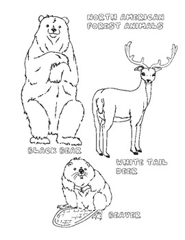 north american animals coloring pages
