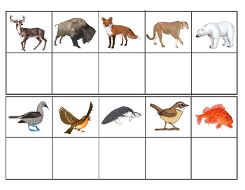 Preview of North American Animals:  Mini Matching and Vocabulary Enrichment Cards