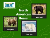North American Bear Study/Nonfiction Research