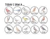 North American Birds Matching Bird Identification Chart, P