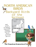 North American Birds - North East US Backyard Birds