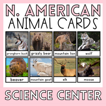 North American Montessori Preschool Science Center Animal Activities