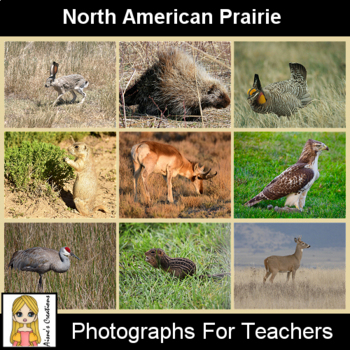 North American Prairie Animals Photograph Pack by Aisne's Creations