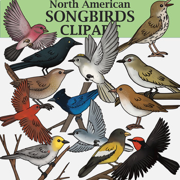 Preview of North American Songbirds Clipart