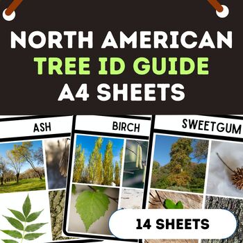 Preview of North American Tree A4 ID Guides