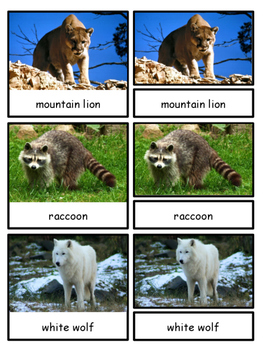 Preview of North American Wildlife--Animals of North America Montessori 3-part cards