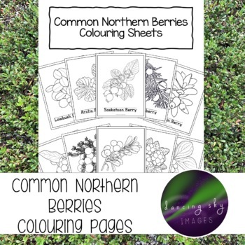 Preview of Northern Berries Colouring Sheets